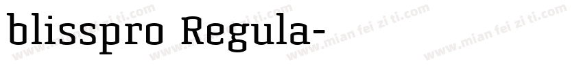 blisspro Regula字体转换